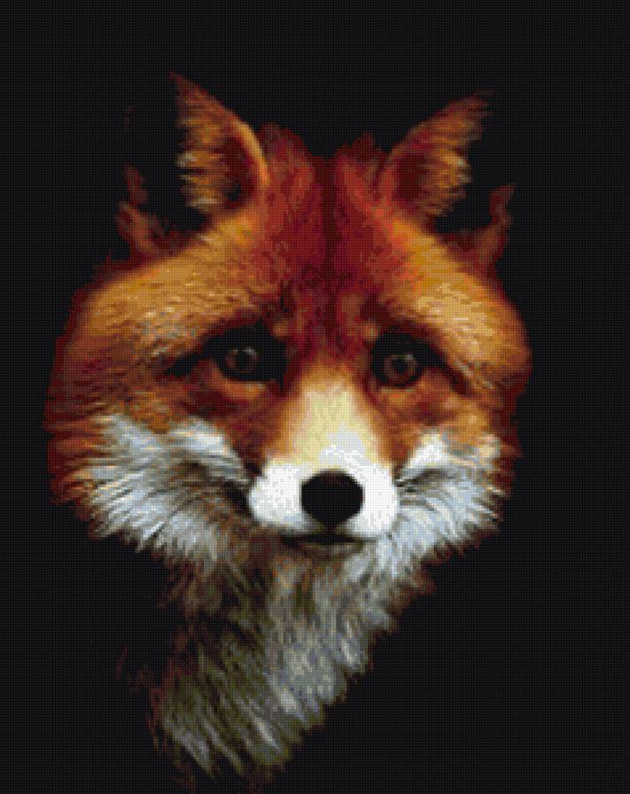 МОРДА ЛИСЫ - предпросмотр