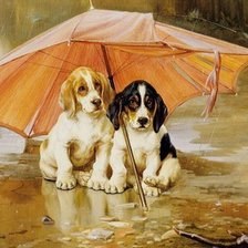 Схема вышивки «Под дождем»