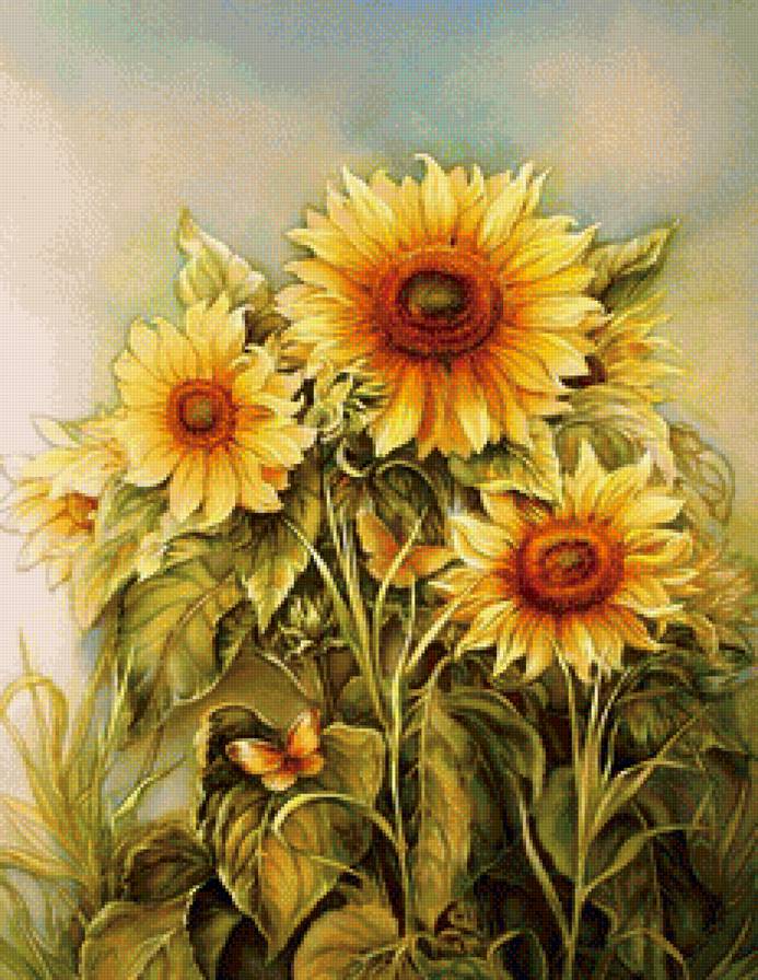 подсолнухи - подсолнухи, природа, цветы - предпросмотр