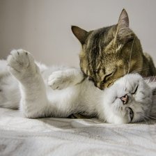 Схема вышивки «парочка»