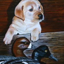 Схема вышивки «Домашние любимцы»