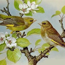 Схема вышивки «птички певчие»