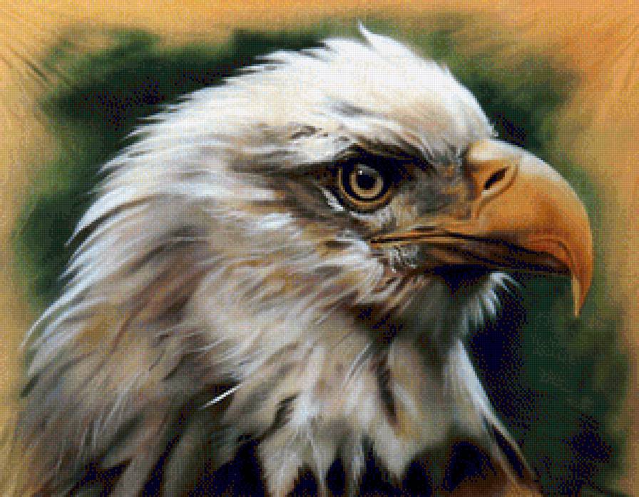 Orzel JW Baker - orzel jw baker - предпросмотр