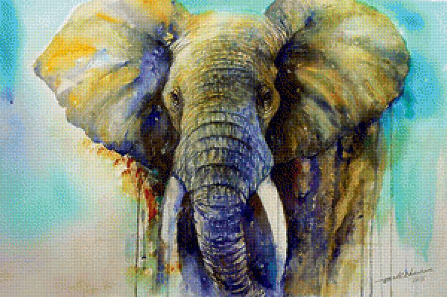 Slon akwarela - slon akwarela - предпросмотр