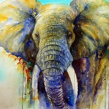 Схема вышивки «Slon akwarela»