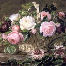 Схема вышивки «№1234497»