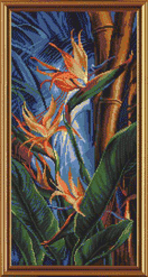 Стрелиция - предпросмотр