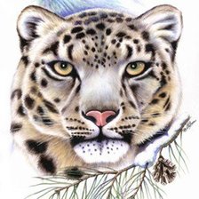 Схема вышивки «Взгляд»