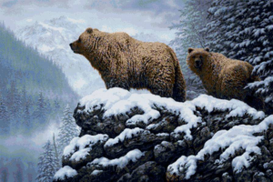 мишкам спать пора - животные - предпросмотр