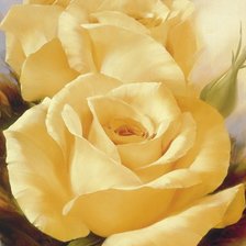 Схема вышивки «№1235343»