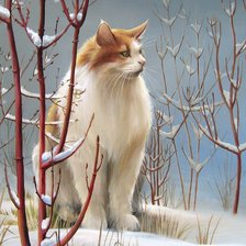 Схема вышивки «№1235646»