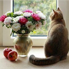 Схема вышивки «№1235656»