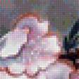 Предпросмотр схемы вышивки «№1235700»