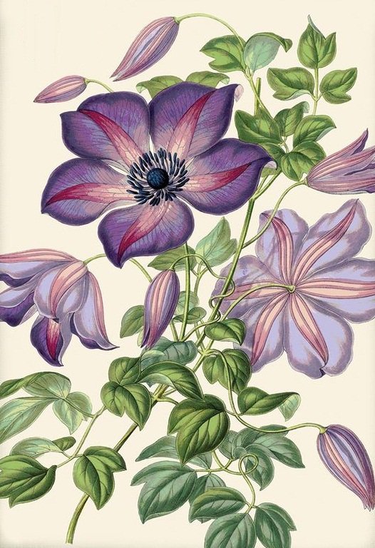 цветы - оригинал