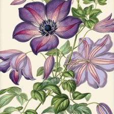 Схема вышивки «цветы»