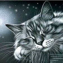 Схема вышивки «котик»