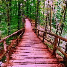 Схема вышивки «Спуск в овраг»