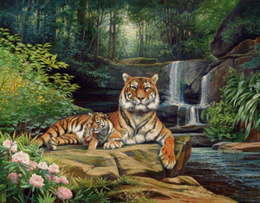тигры у водопада - предпросмотр