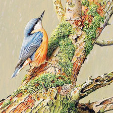 Схема вышивки «170»