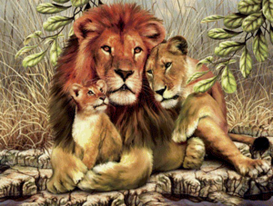 Семья - звери, природа - предпросмотр