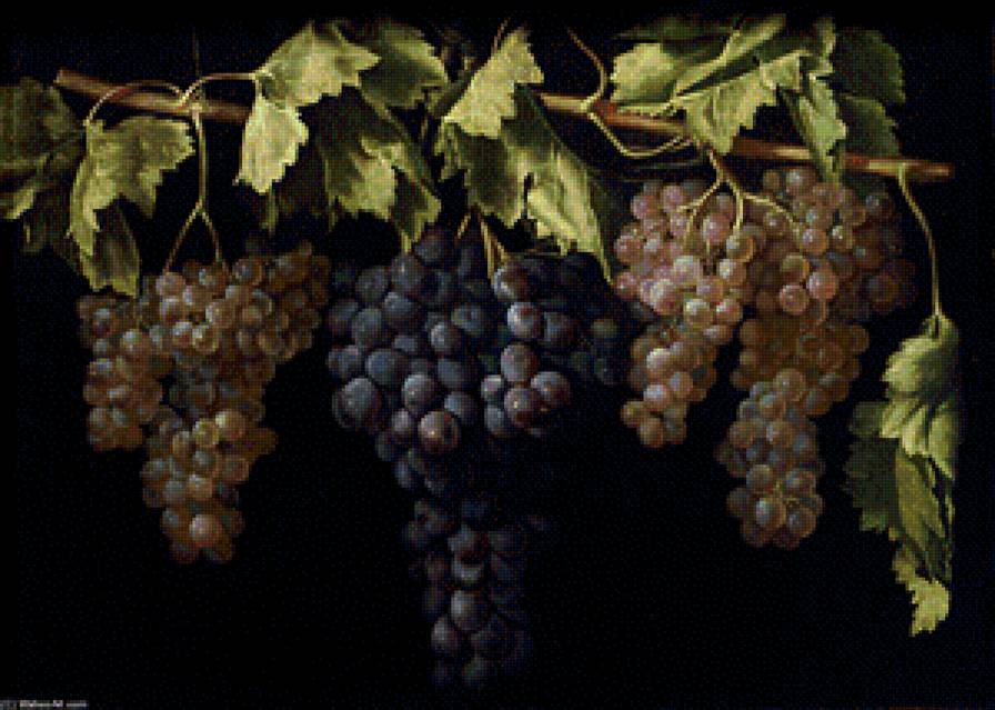 Виноград на черной канве - виноград, натюрморт, на кухню - предпросмотр