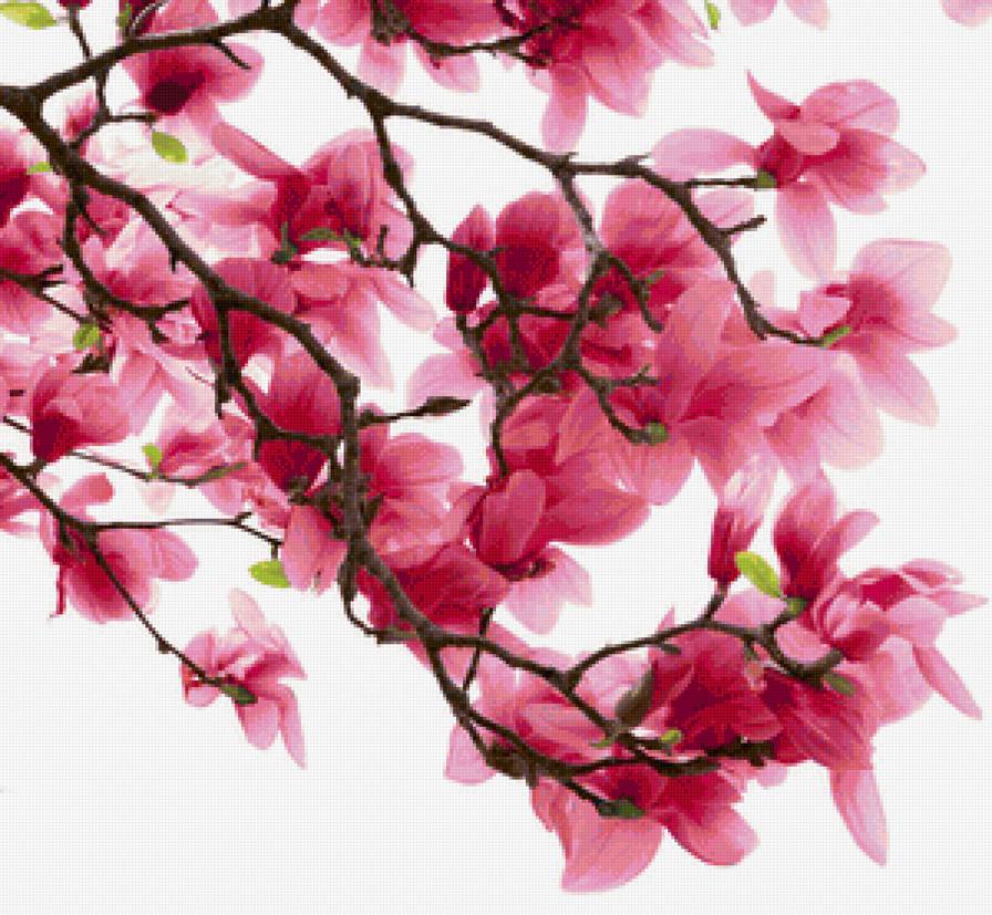 №1236220 - предпросмотр