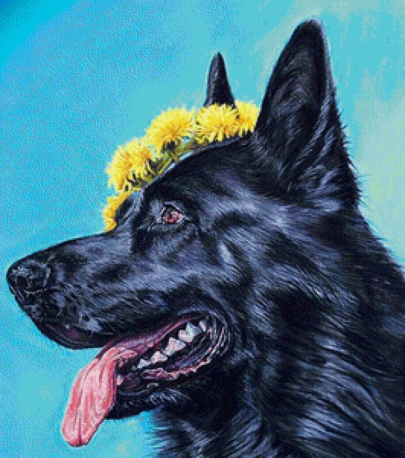 Черный красавец - собаки, животные - предпросмотр