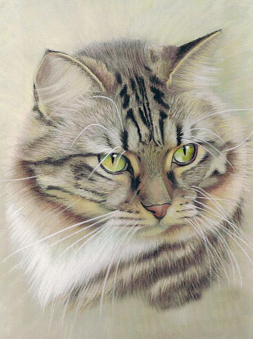 171 - домашние любимцы - оригинал