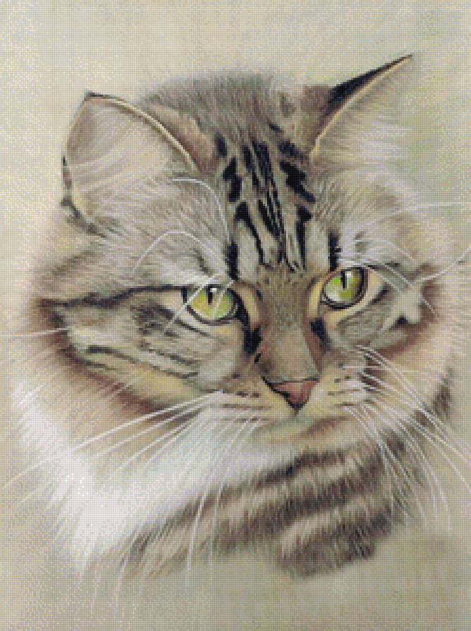 171 - домашние любимцы - предпросмотр