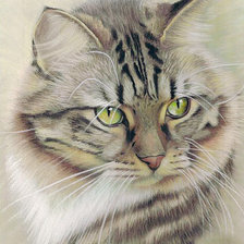 Схема вышивки «171»