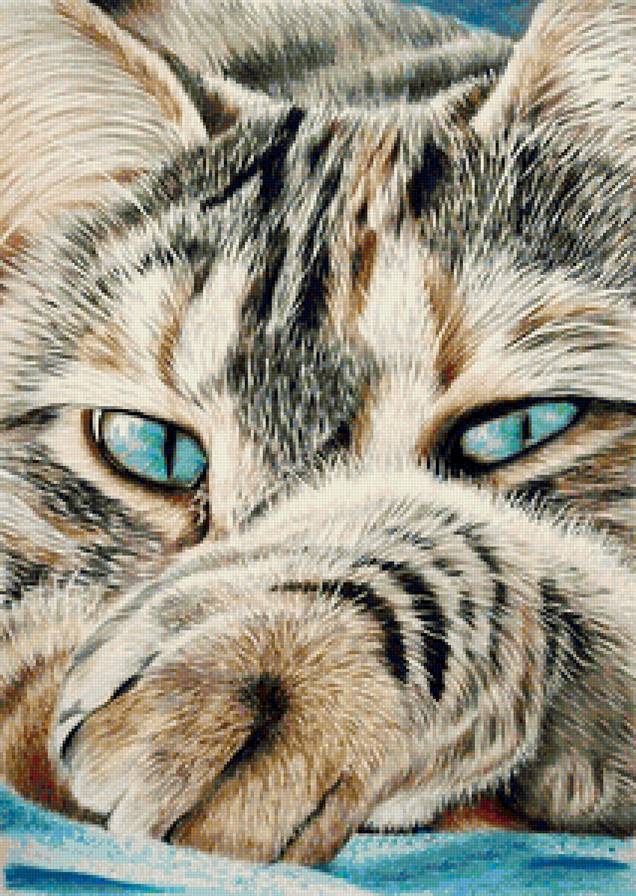 172 - домашние любимцы - предпросмотр