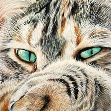 Схема вышивки «172»