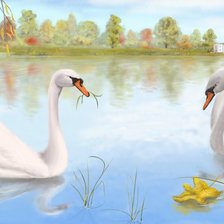 Схема вышивки «Красивая пара»