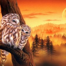 Схема вышивки «Совушки в лучах заката»