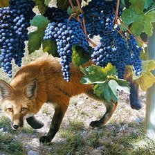 Схема вышивки «Лиса и виноград»
