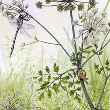 Схема вышивки «стрекоза в траве»