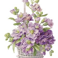 Схема вышивки «фиалки»