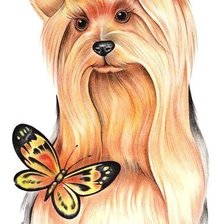 Схема вышивки «Красотка»