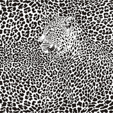 Схема вышивки «Снежный барс»