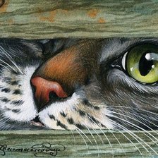 Схема вышивки «ПОДГЛЯДЫВАЕТ»