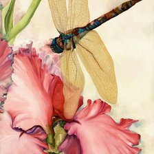Схема вышивки «СТРЕКОЗА»