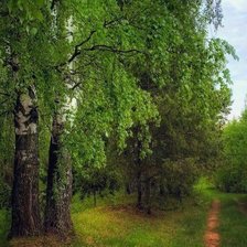 Схема вышивки «В лесу»