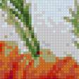 Предпросмотр схемы вышивки «МаКИ» (№1237451)
