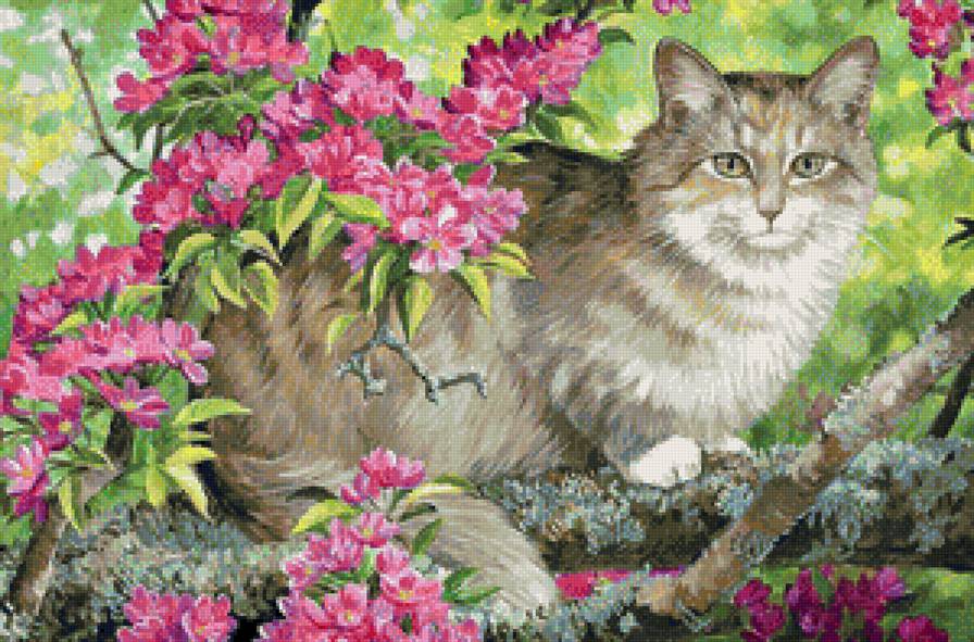 киска на ветке - кот. цветы - предпросмотр