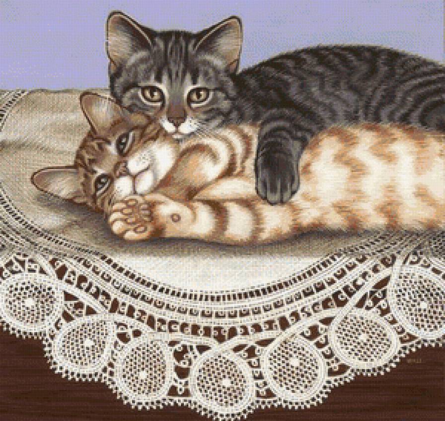 Котики - коты, животные, котенок, кот - предпросмотр