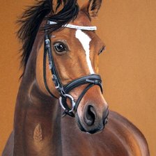 Схема вышивки «Лошадь»