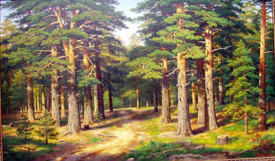 сосновый лес - природа, пейзаж, лес, картина - оригинал