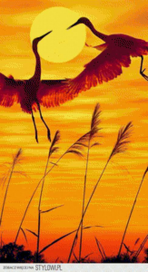 zurawie o zachodzie slonca - zurawie o zachodzie slonca - предпросмотр