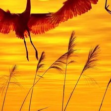 Схема вышивки «zurawie o zachodzie slonca»