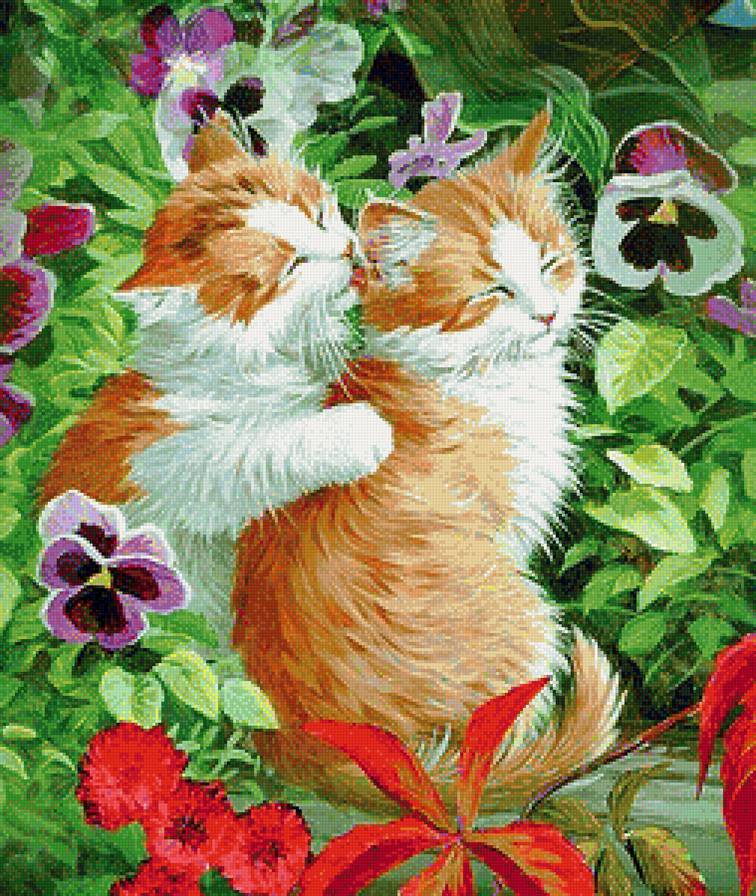 котики - кот. цветы - предпросмотр